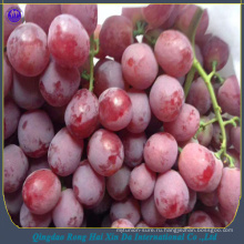 китайский фрукт свежий красный виноград красный глобус виноград красных сортов винограда экспортер